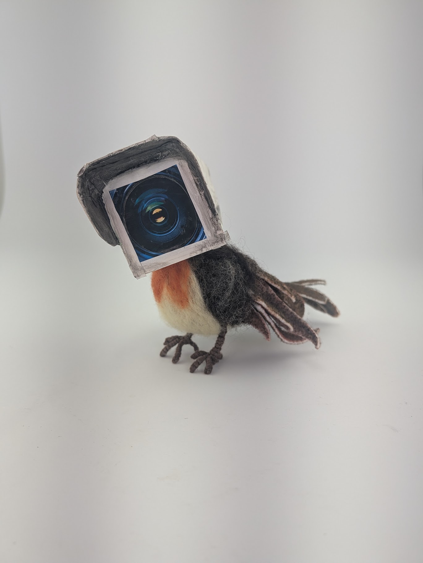 A mixed media sculpture that depicts a robin with the head of an old-timey security camera.